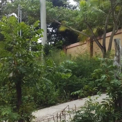 Julieth