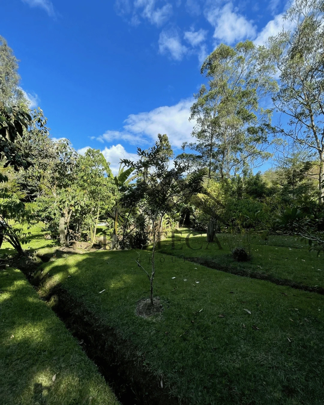 Hermosa finca  - Imagen 11