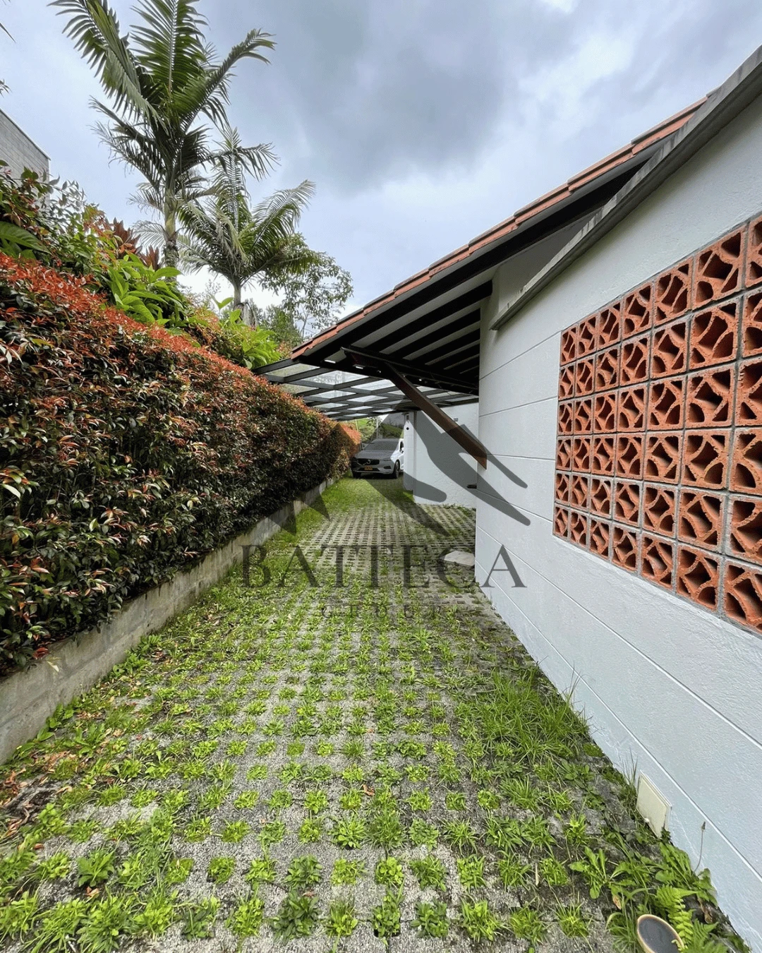 Finca en parcelación - Imagen 3