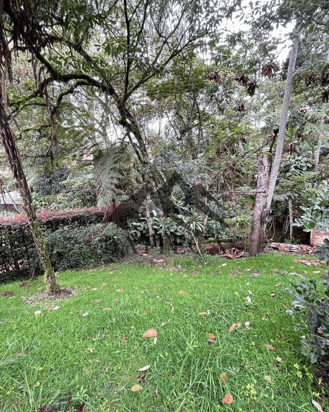 Finca en parcelación - Imagen 11