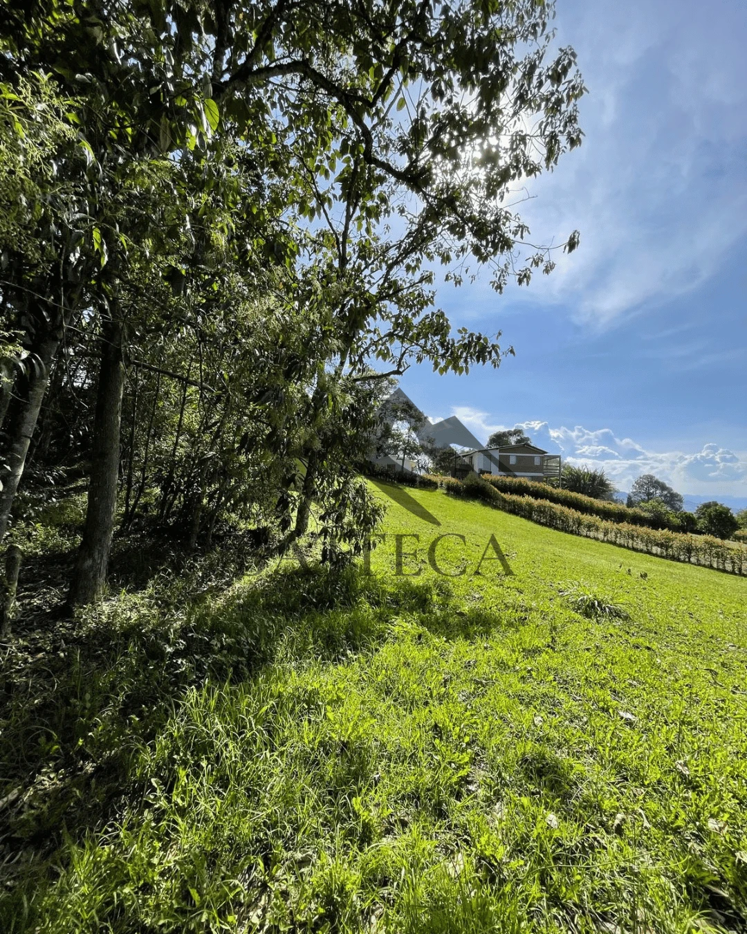 Lote en exclusiva parcelación - Imagen 7