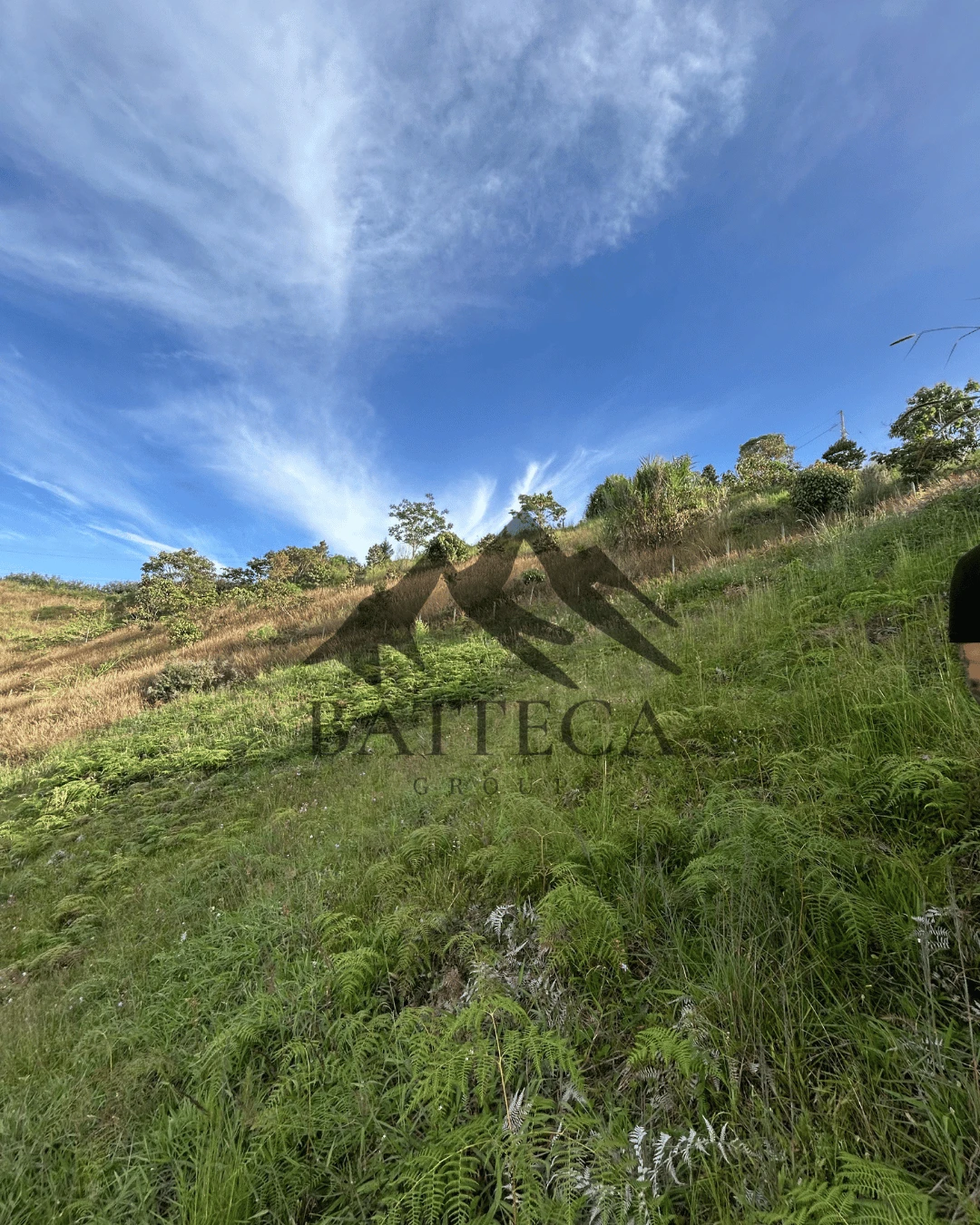 Lote virgen en unidad residencial - Imagen 2