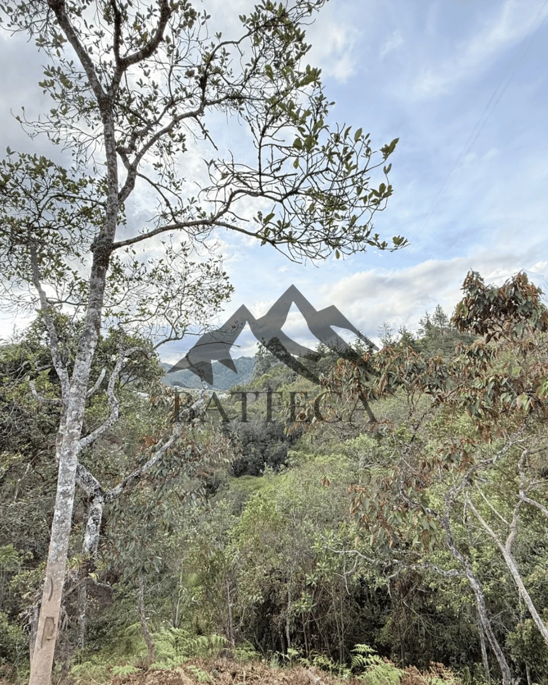 Lotes disponibles en condominio - Imagen 4