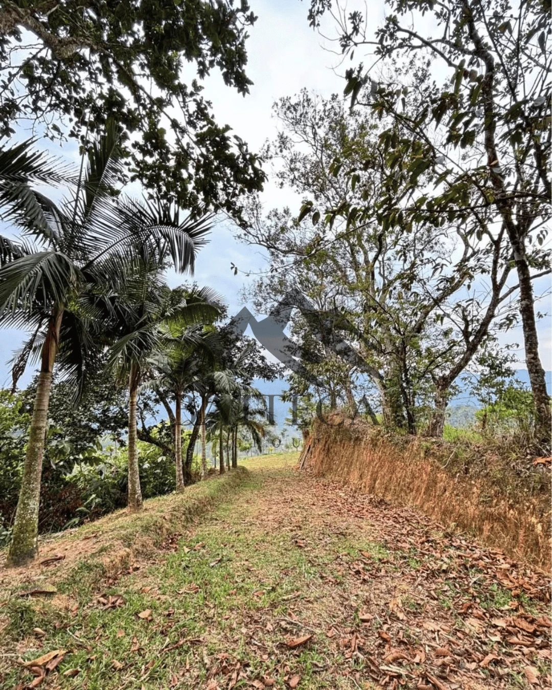 Lote campestre  - Imagen 2