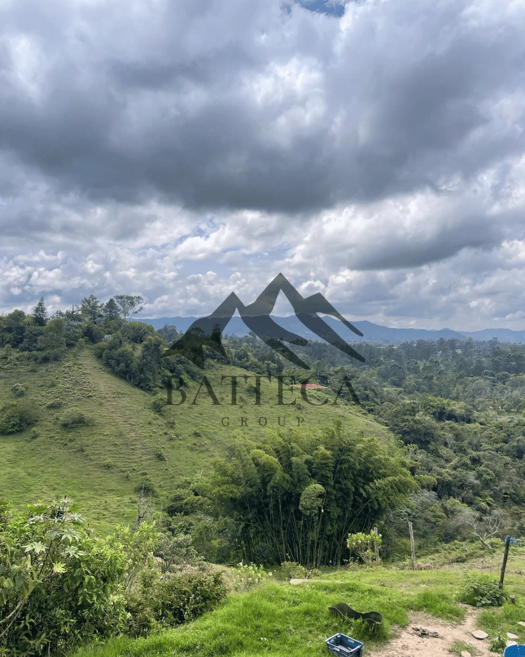 Lote de 5 hectáreas 