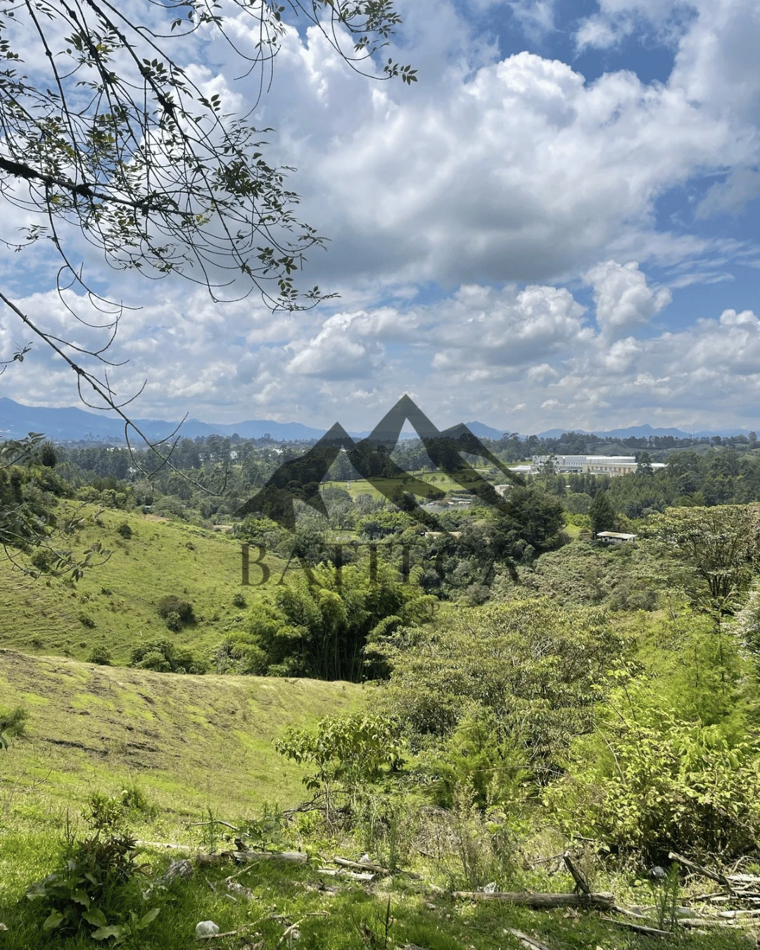 Lote de 5 hectáreas  - Imagen 3