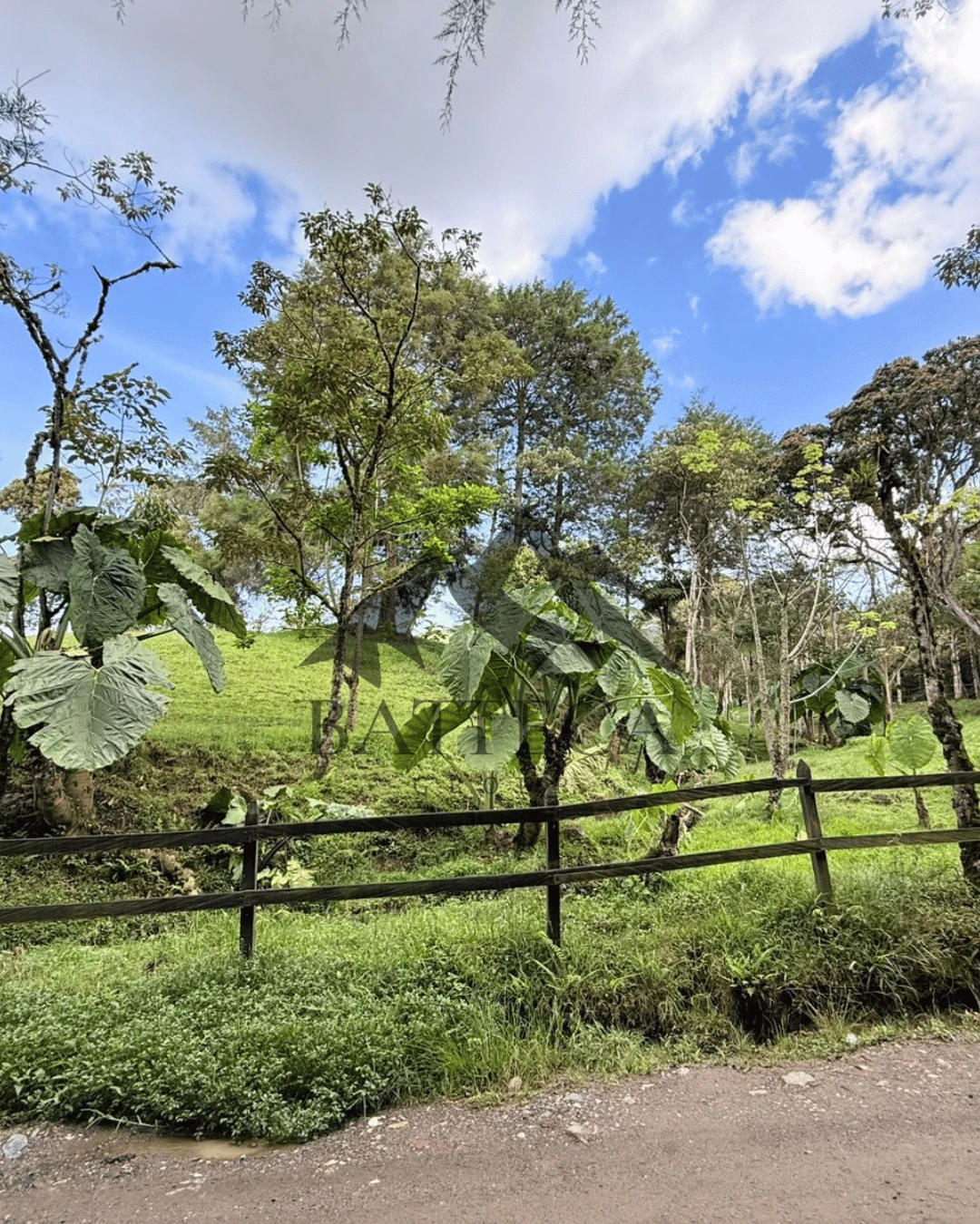 Lote campestre - Imagen 9