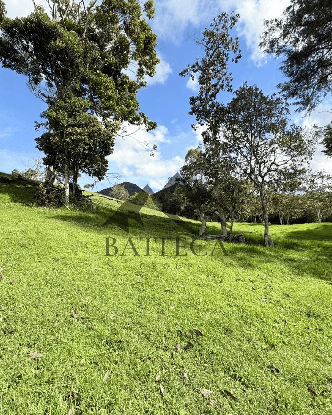 Lote campestre - Imagen 2