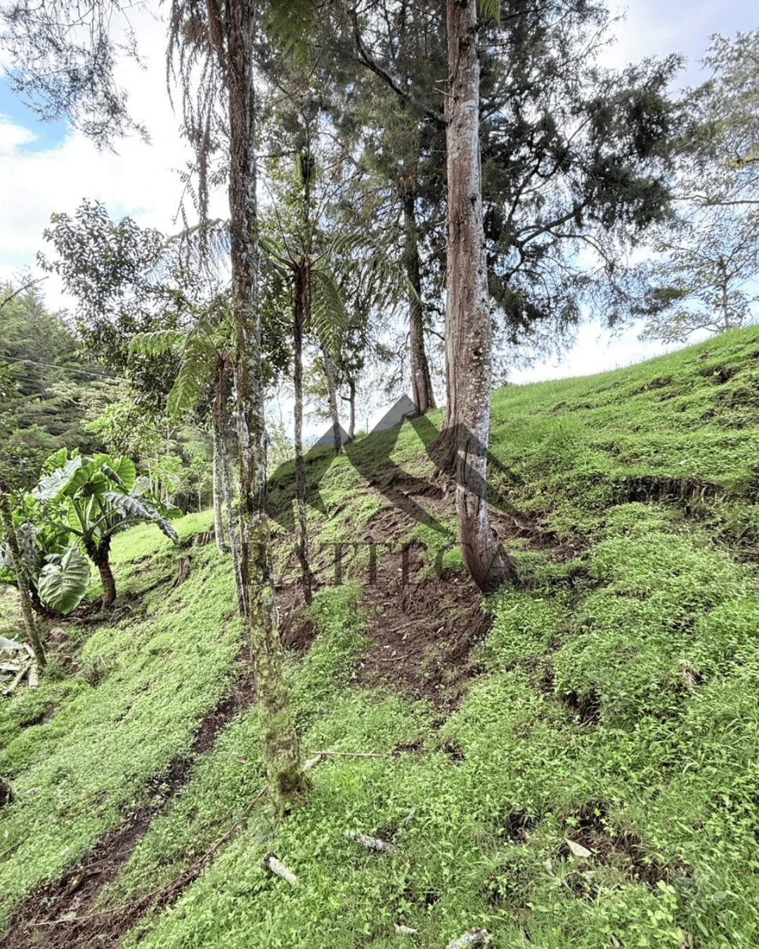 Lote campestre - Imagen 7