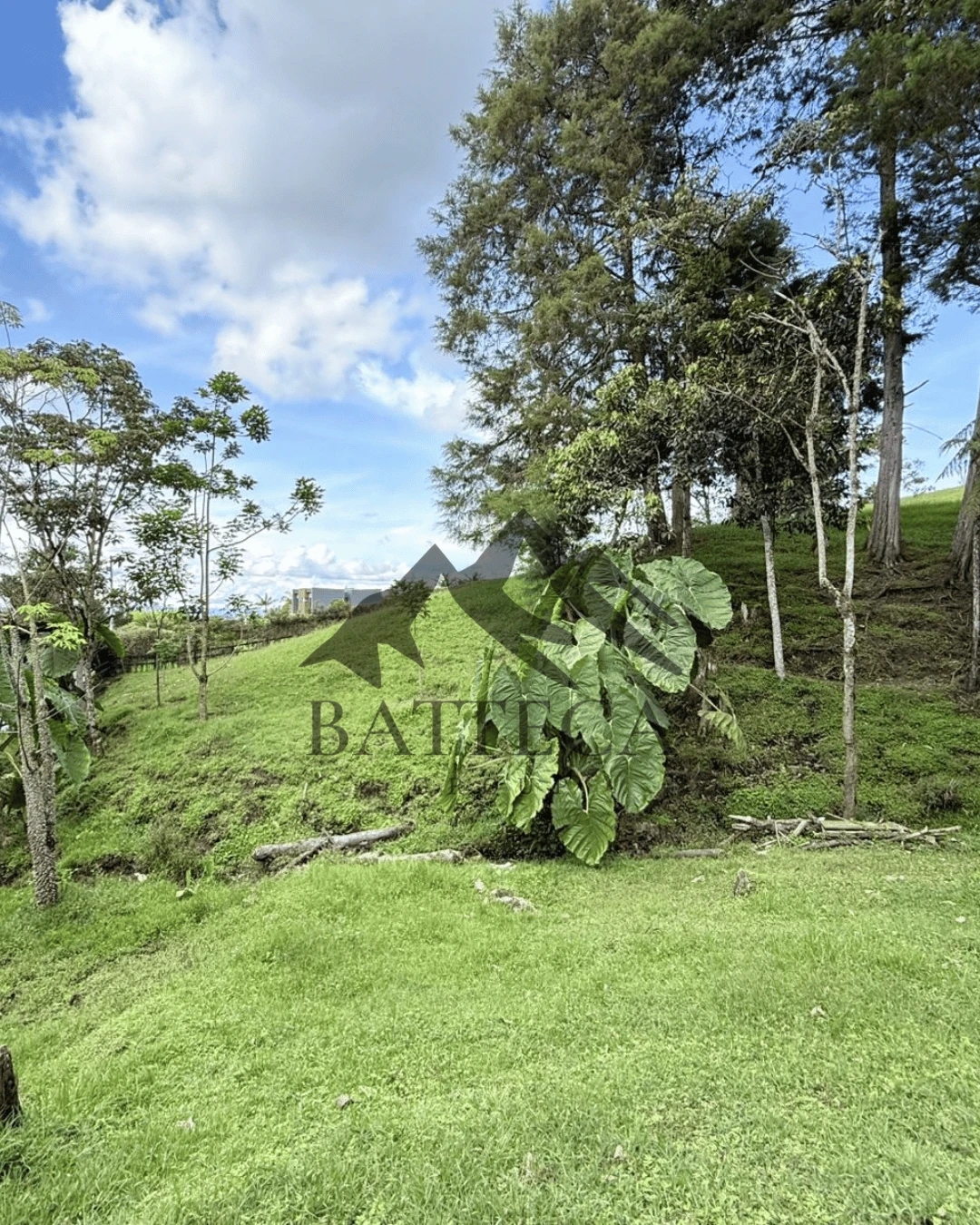 Lote campestre - Imagen 8