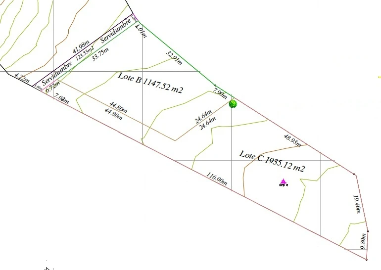 Se vende lote plano con escritura independiente en El Carmen de Apicala - Imagen 12
