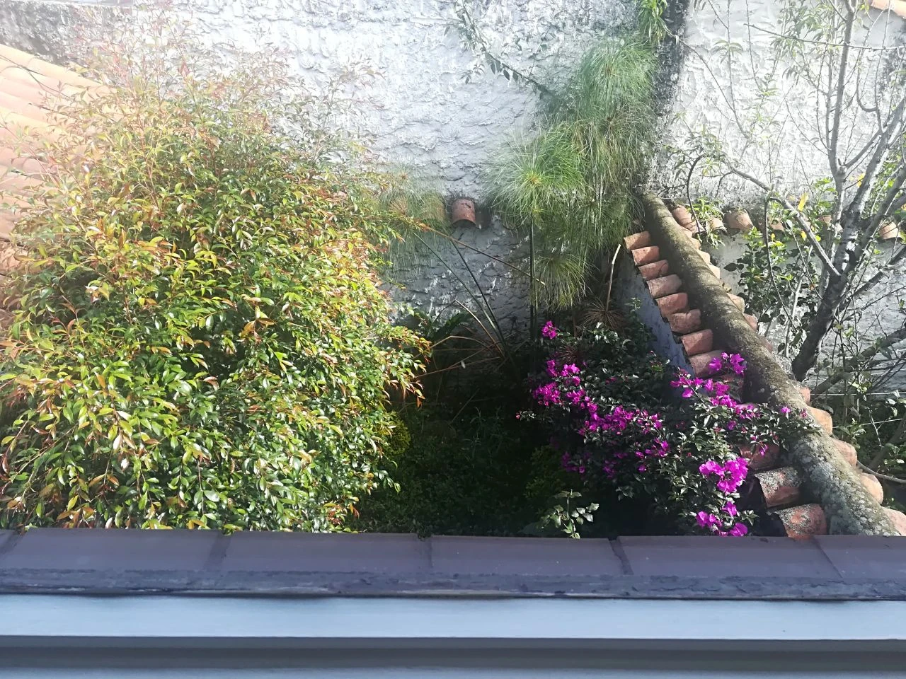 Casa Comercial y Habitacional sobre calle 127 - Imagen 5