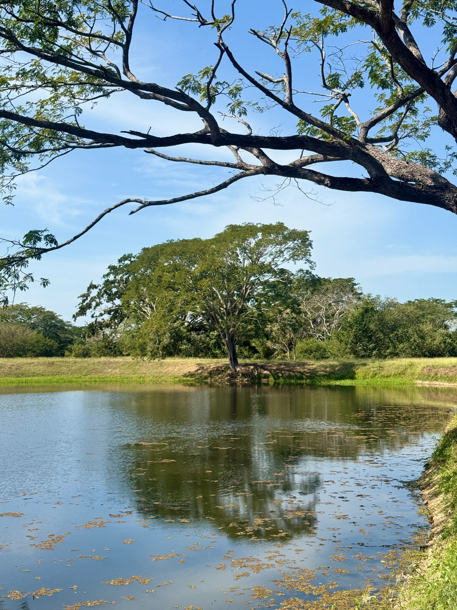 🏡 Lote campestre de 1.000 m² en venta – Condominio Campestre La Zona | Vive rodeado de naturaleza - Imagen 7