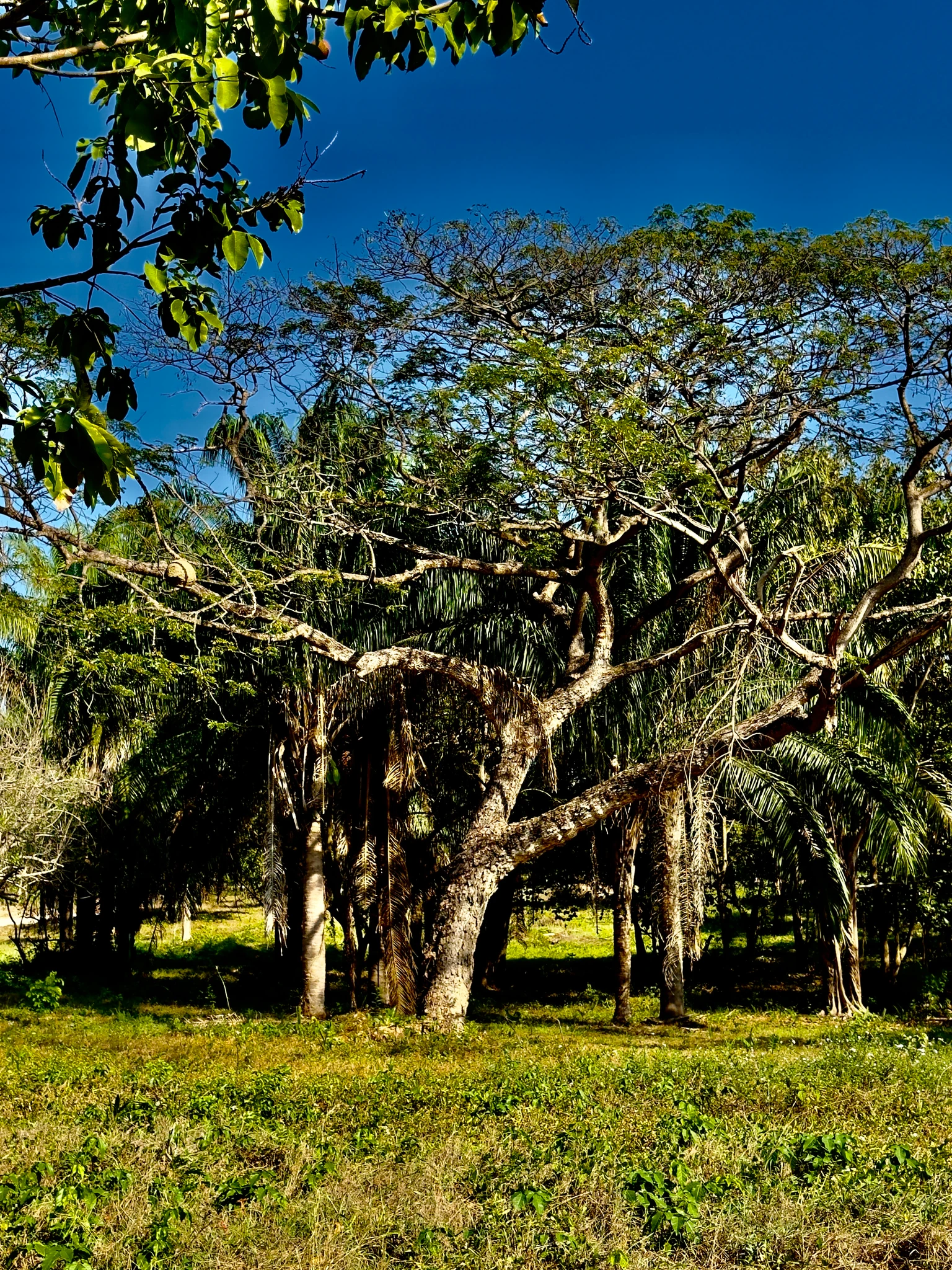 🏡 Lote campestre de 1.000 m² en venta – Condominio Campestre La Zona | Vive rodeado de naturaleza - Imagen 6