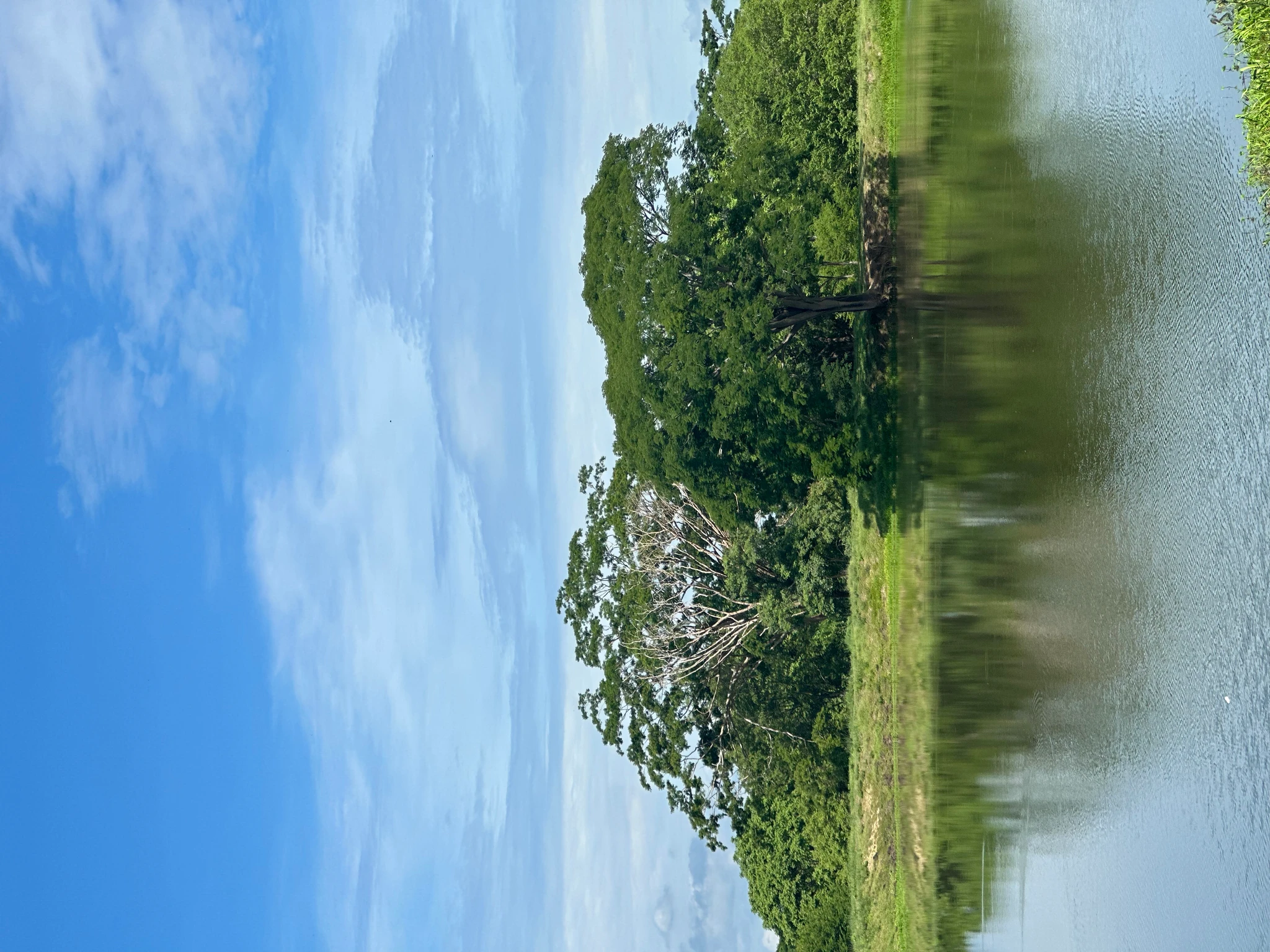 🏡 Lote campestre de 1.000 m² en venta – Condominio Campestre La Zona | Vive rodeado de naturaleza - Imagen 13