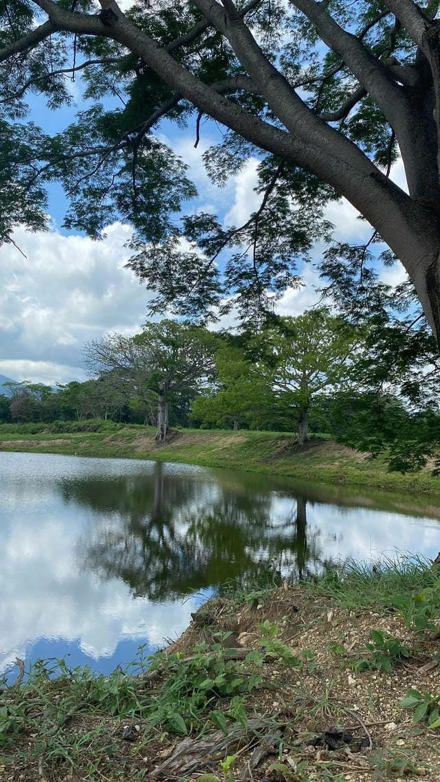 🏡 Lote campestre de 1.000 m² en venta – Condominio Campestre La Zona | Vive rodeado de naturaleza - Imagen 9