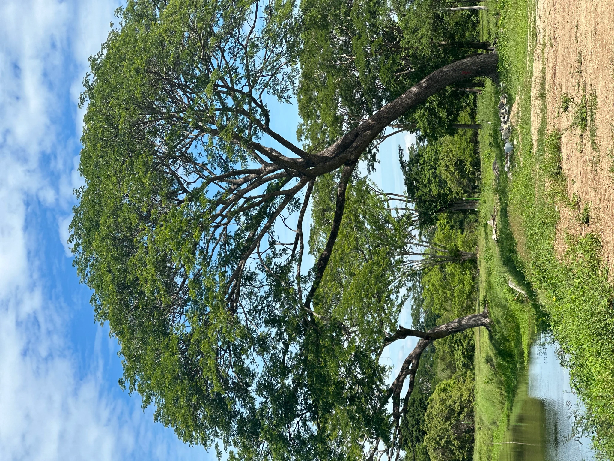 🏡 Lote campestre de 1.000 m² en venta – Condominio Campestre La Zona | Vive rodeado de naturaleza - Imagen 11