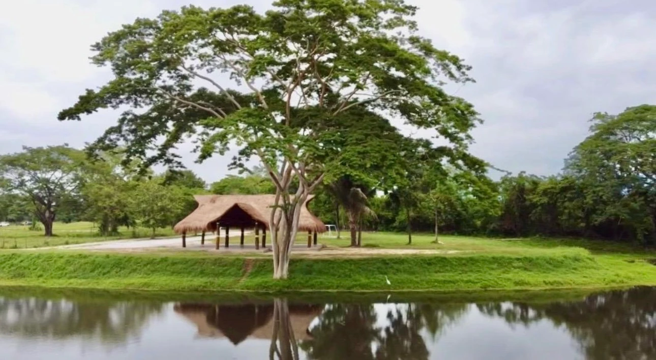 🏡 Lote campestre de 1.000 m² en venta – Condominio Campestre La Zona | Vive rodeado de naturaleza - Imagen 17