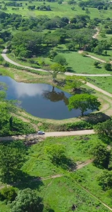 🏡 Lote campestre de 1.000 m² en venta – Condominio Campestre La Zona | Vive rodeado de naturaleza - Imagen 8