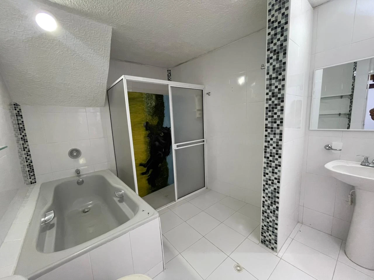 Venta Casa Independiente Comercial o Vivienda - Altos de Pan de Azúcar, Bucaramanga - Imagen 6