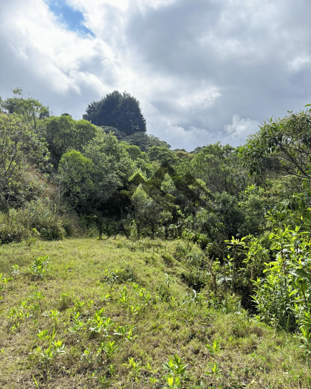 Lotes en venta con hermosa vista - Imagen 5