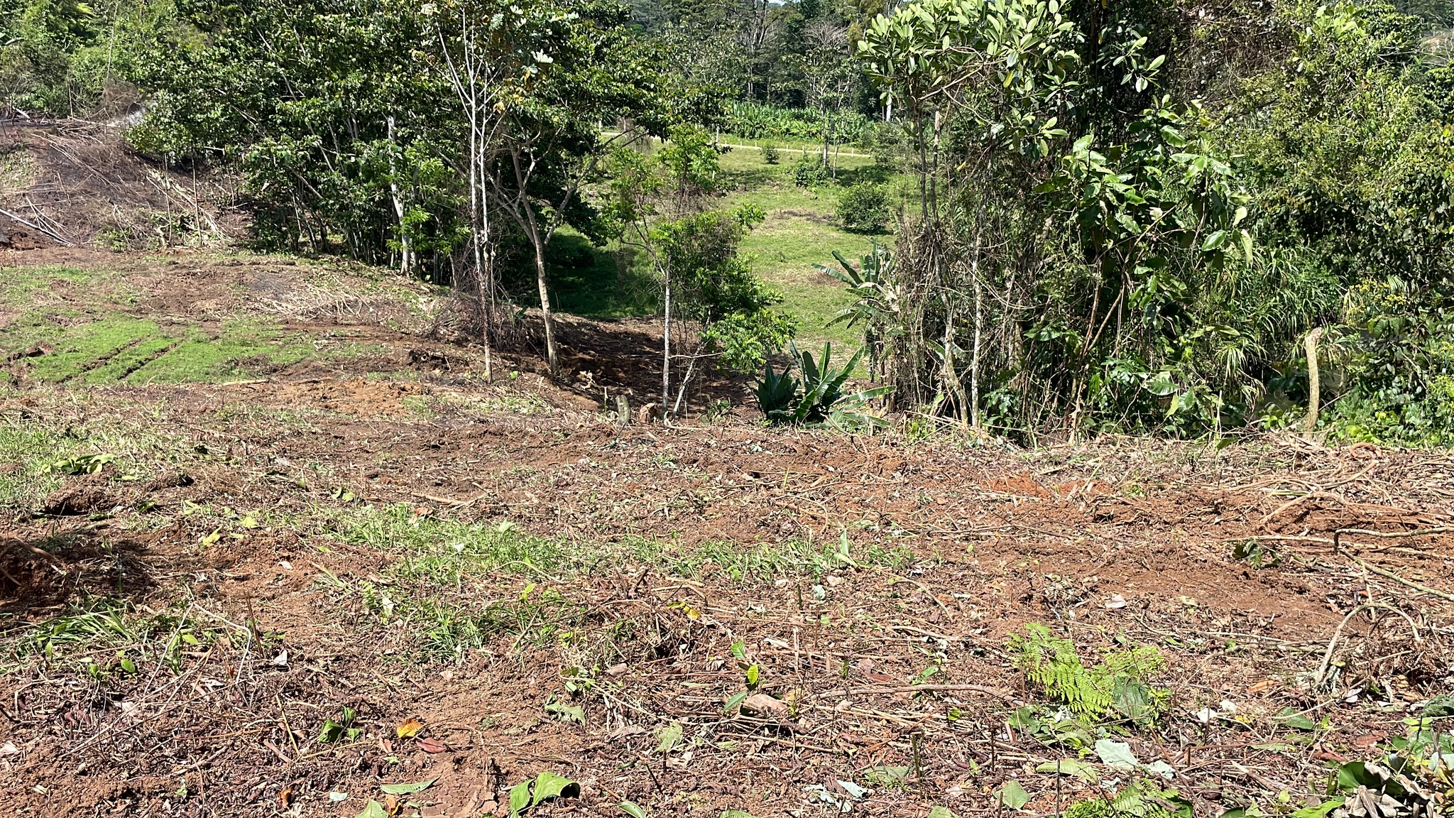 Quintas en Cahuita - Imagen 3