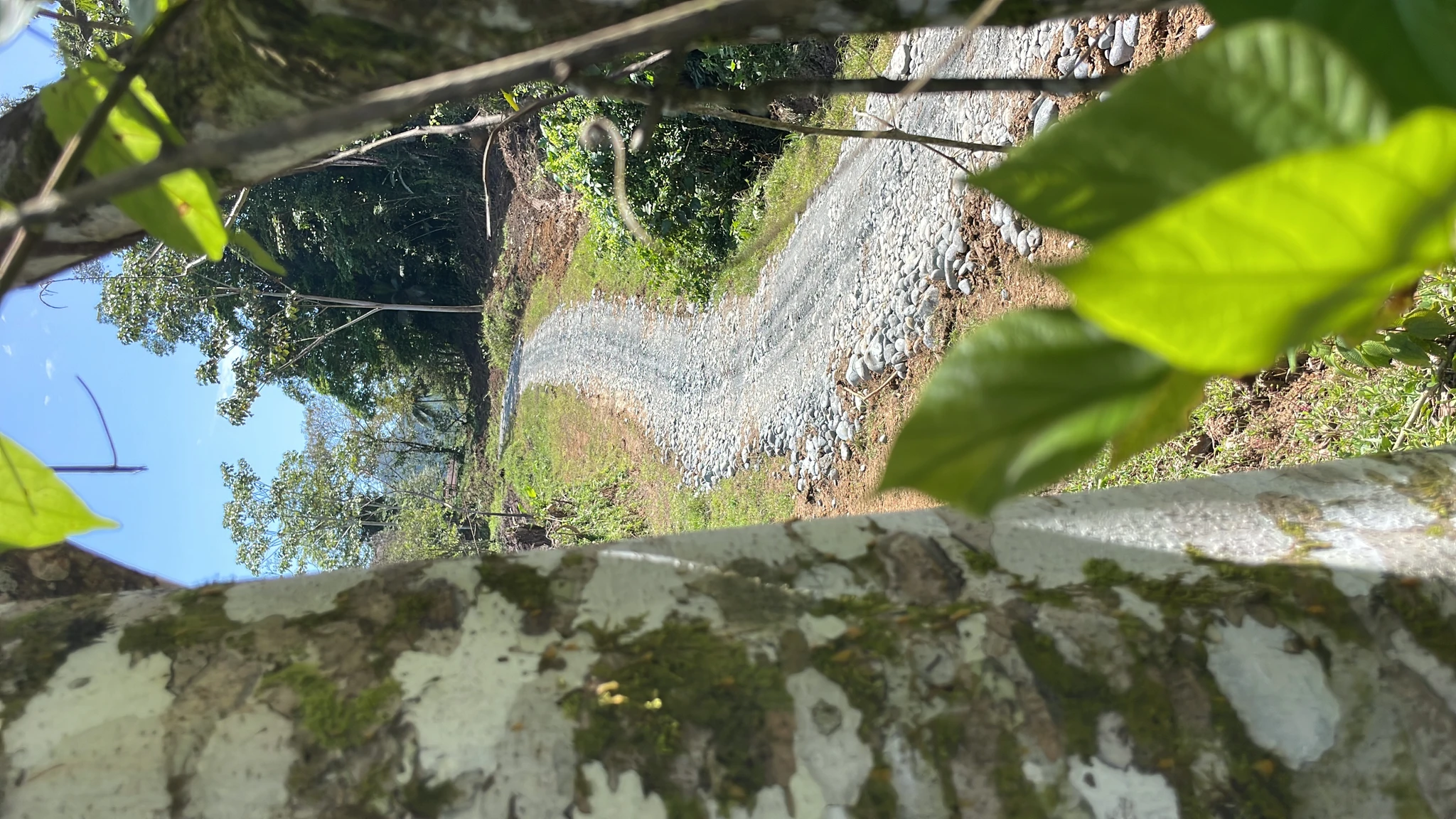 Quintas en Cahuita - Imagen 2