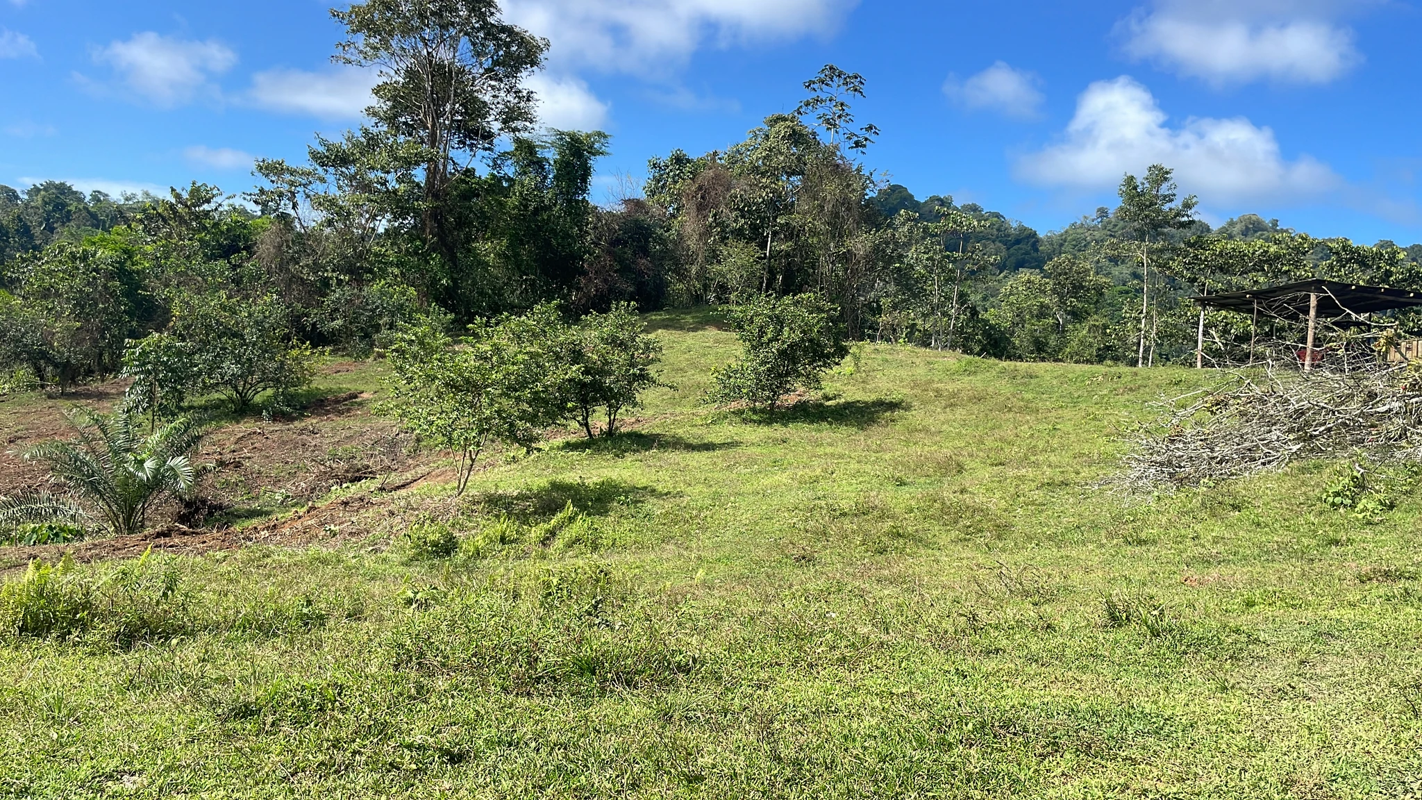Quintas en Cahuita - Imagen 7