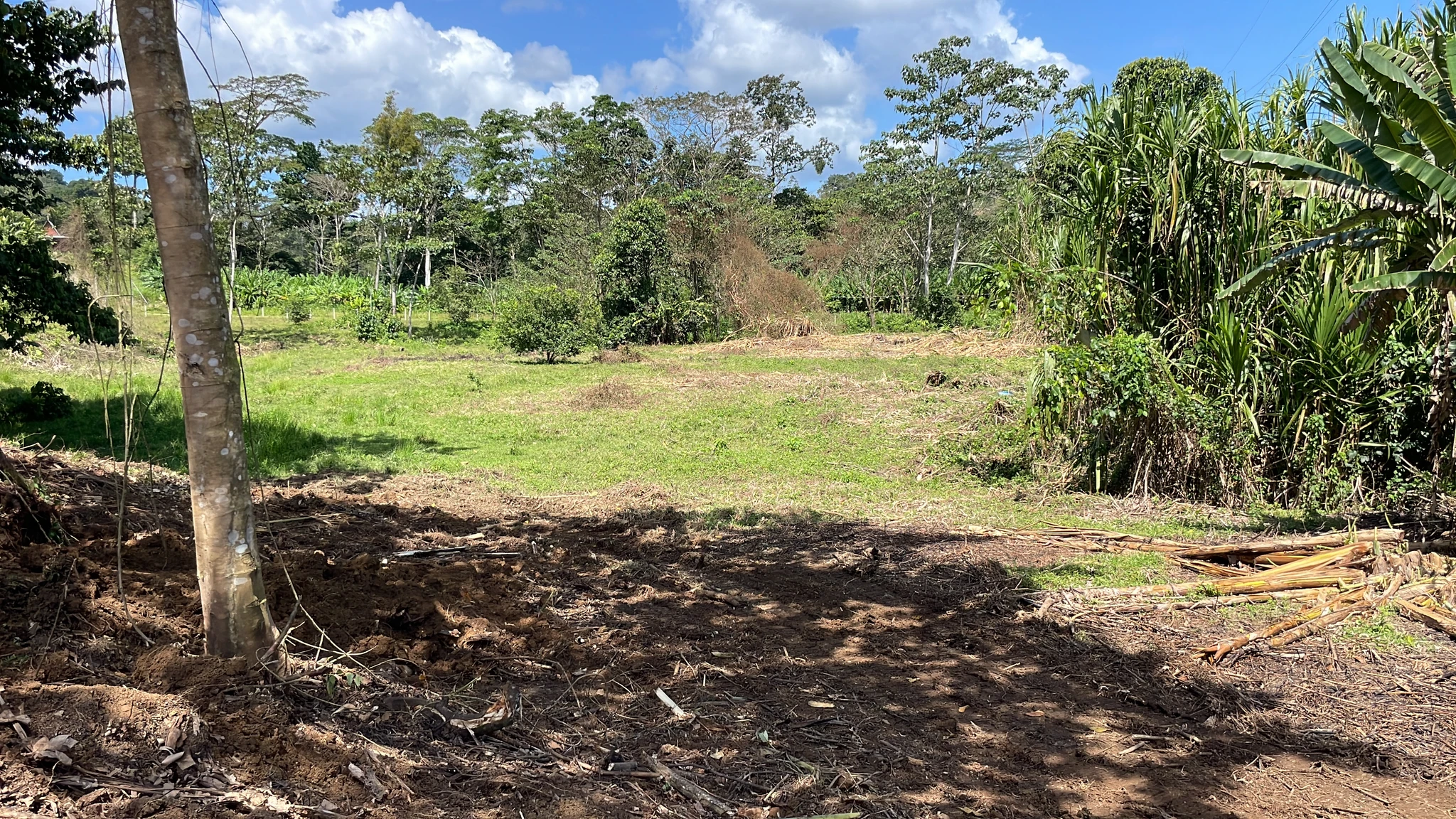 Quintas en Cahuita - Imagen 6