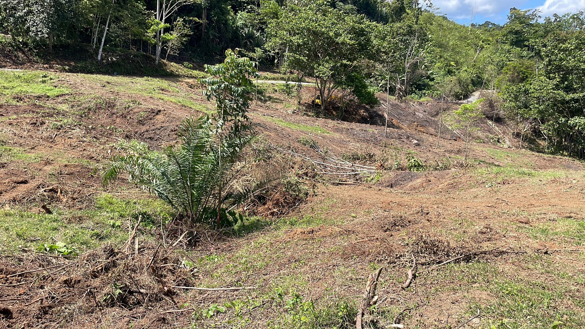 Quintas en Cahuita - Imagen 8