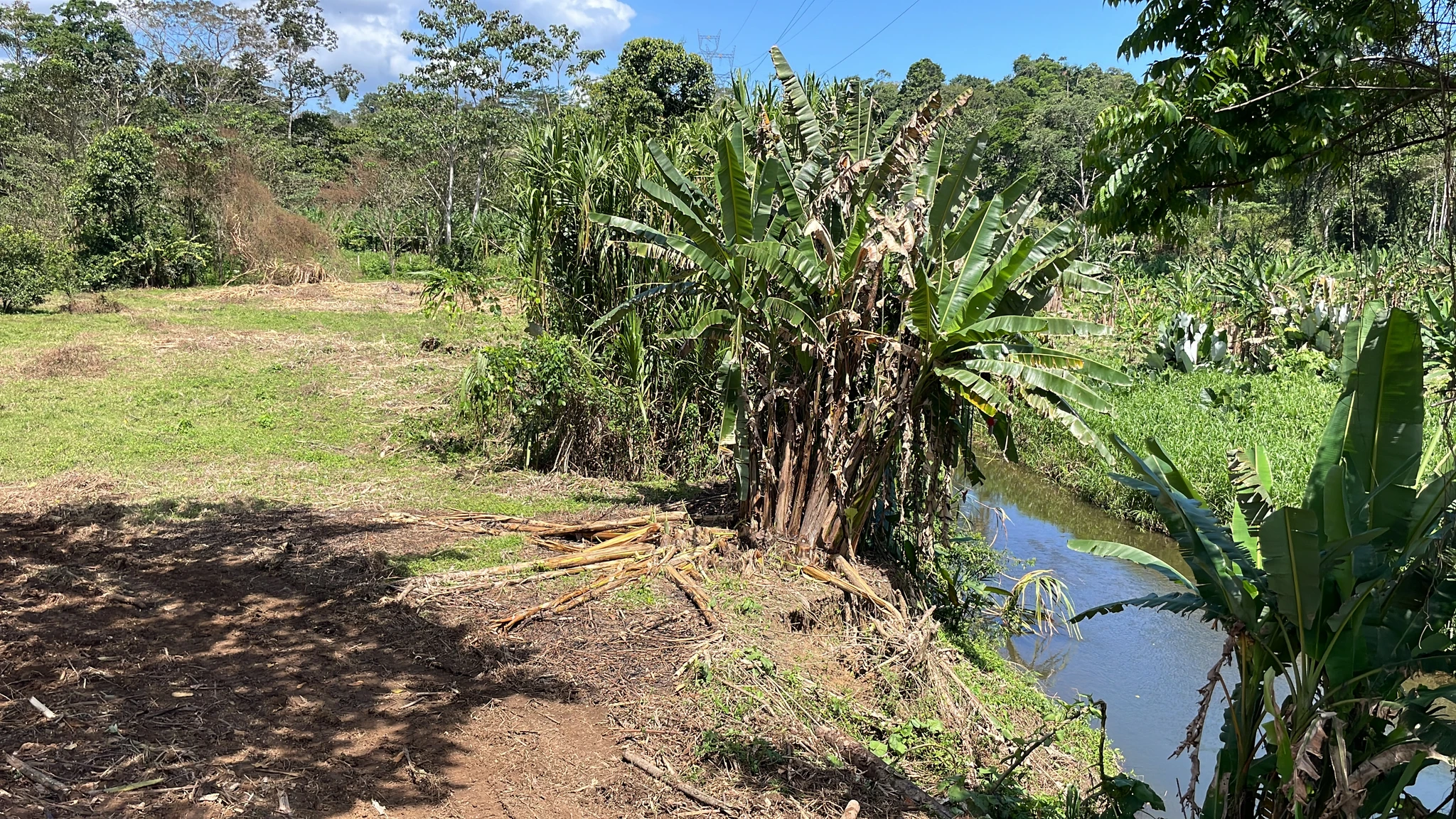 Quintas en Cahuita - Imagen 5
