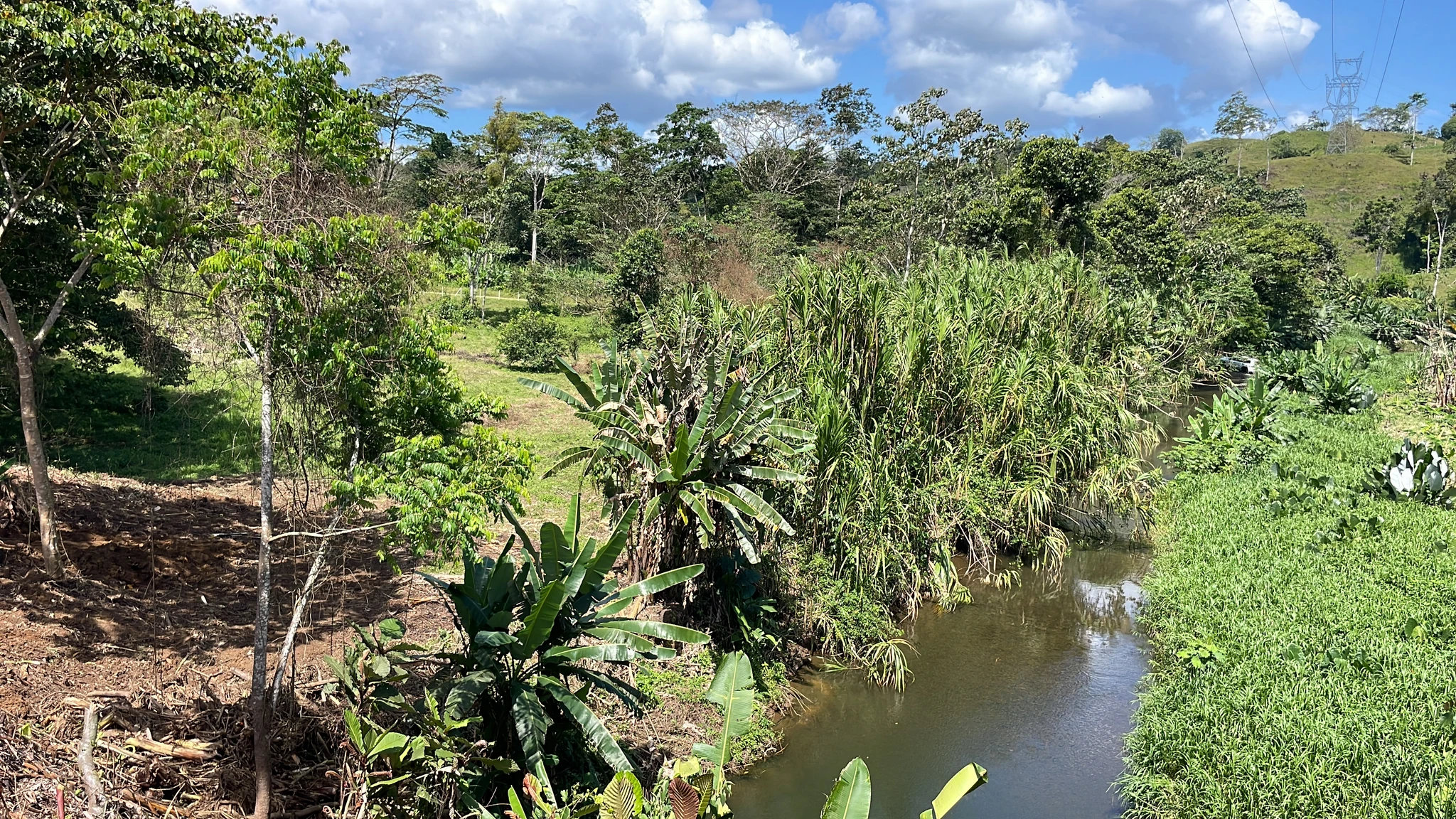 Quintas en Cahuita - Imagen 4