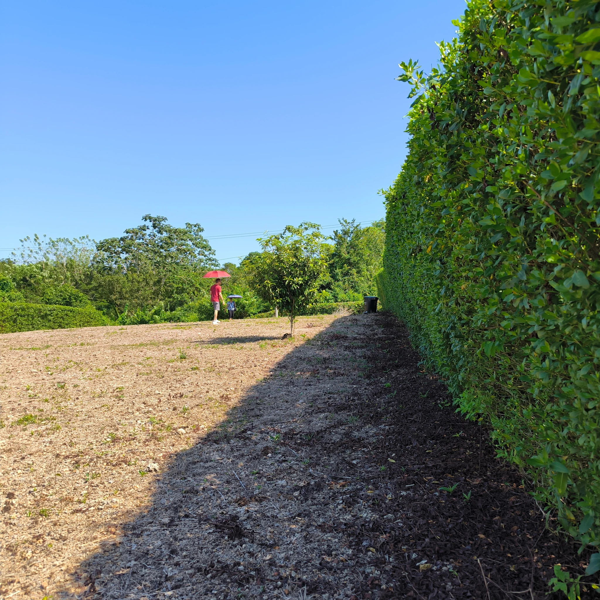 Lote Campestre en Turbaco en Venta | Villas del Palmar 800 m² – Excelente Inversión - Imagen 3