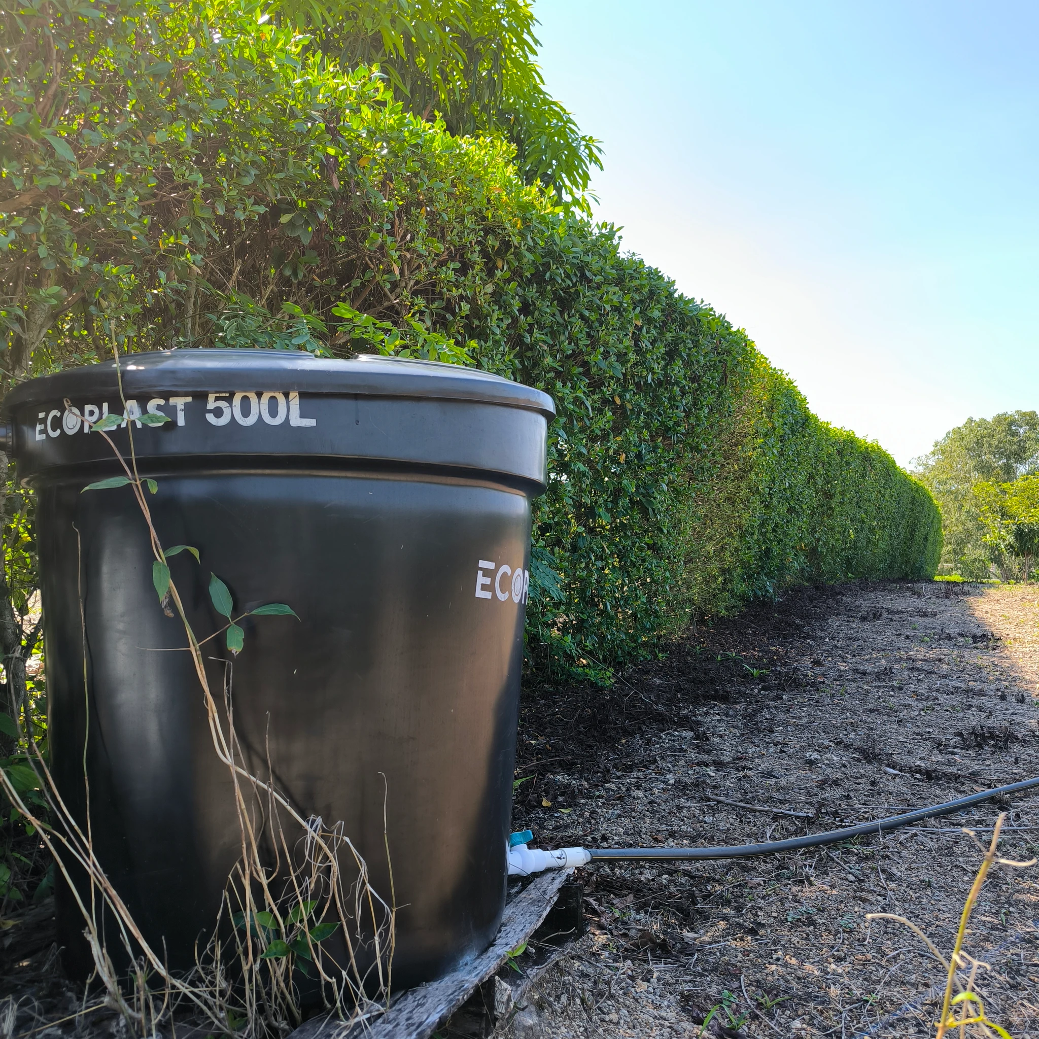 Lote Campestre en Turbaco en Venta | Villas del Palmar 800 m² – Excelente Inversión - Imagen 5