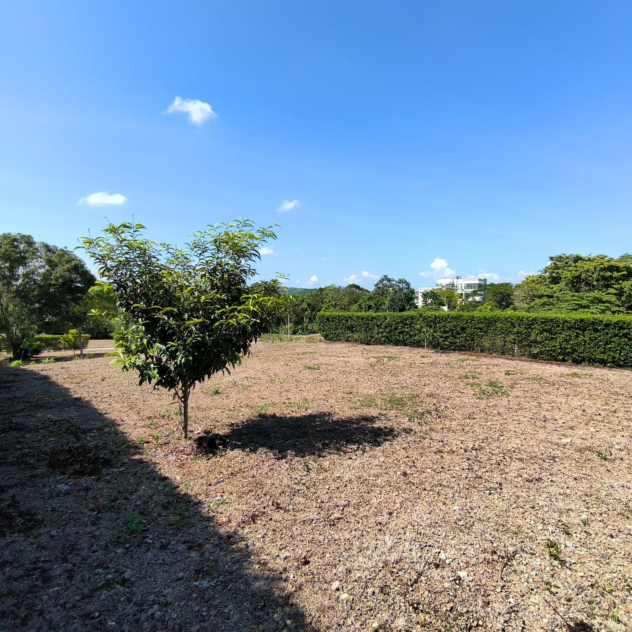 Lote Campestre en Turbaco en Venta | Villas del Palmar 800 m² – Excelente Inversión - Imagen 7