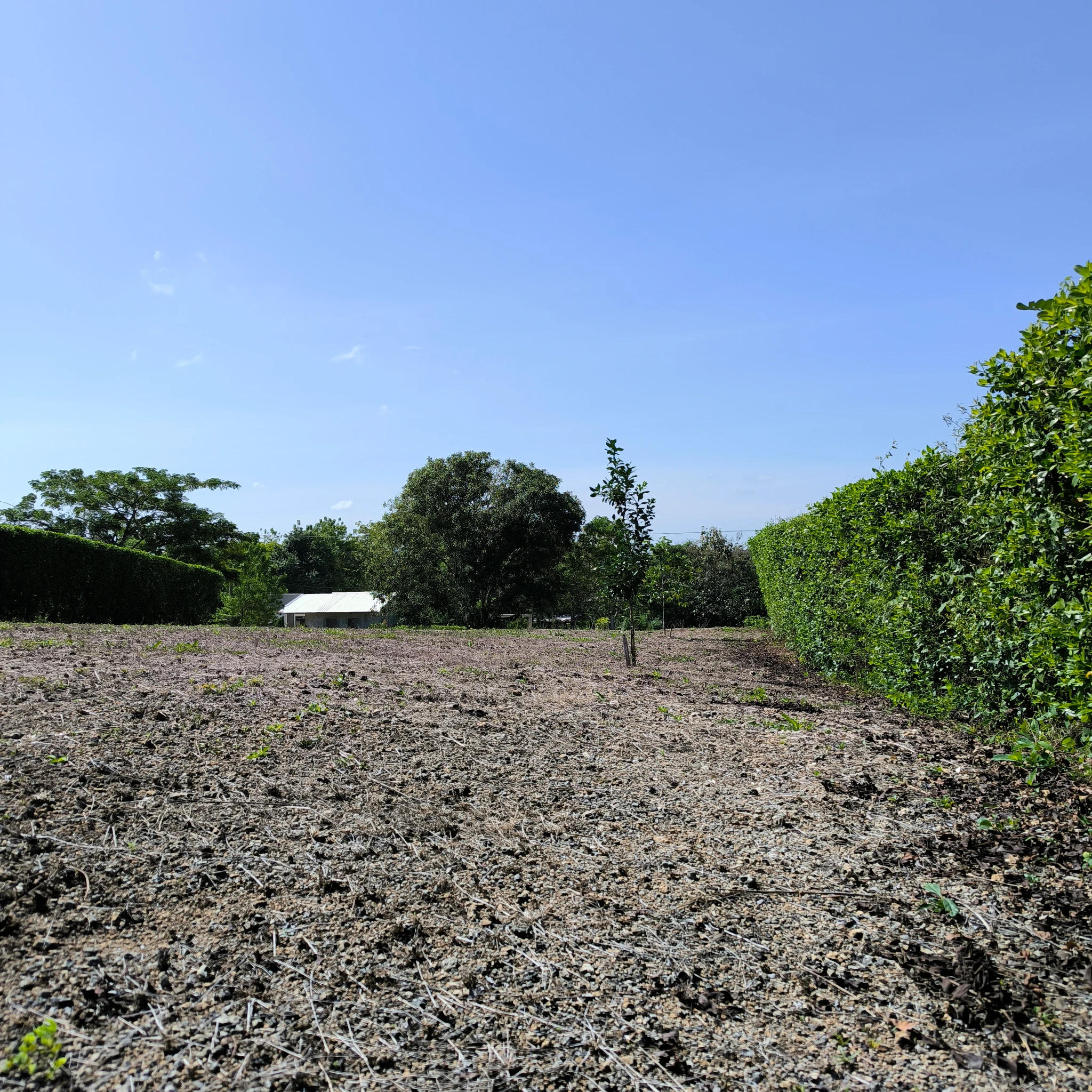 Lote Campestre en Turbaco en Venta | Villas del Palmar 800 m² – Excelente Inversión - Imagen 4