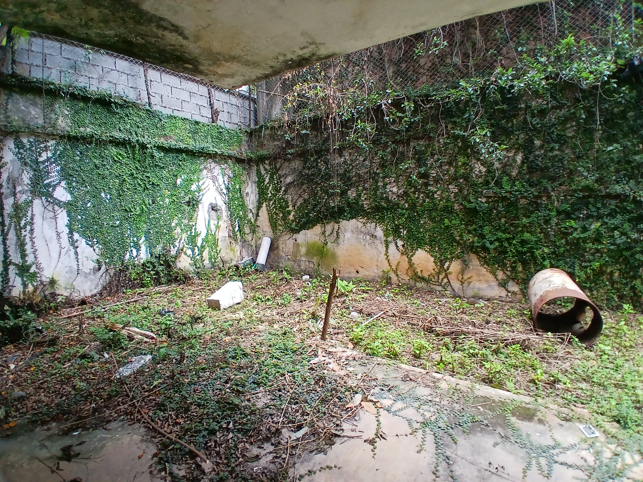 VENTA LOTE BARRIO CRISTALES - Imagen 5