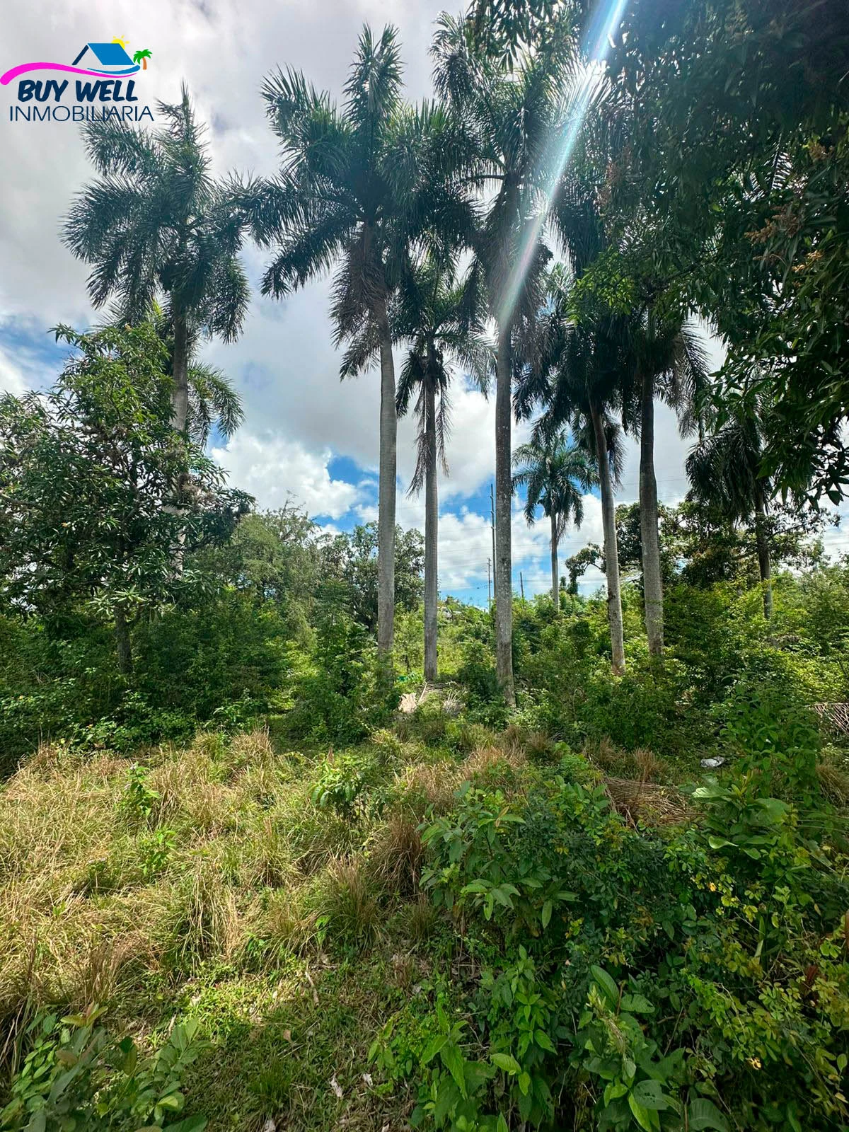 Terreno, ubicado en la 6 de noviembre San Cristóbal.  - Imagen 2