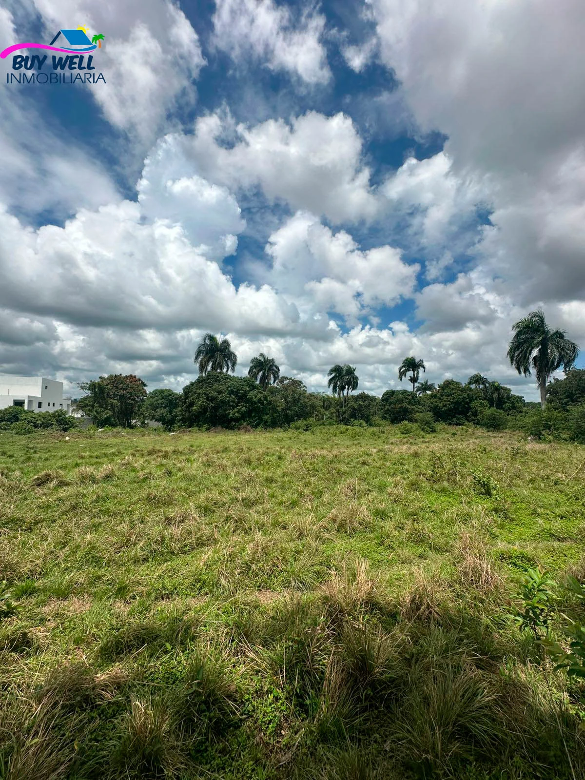Terreno, ubicado en la 6 de noviembre San Cristóbal.  - Imagen 3