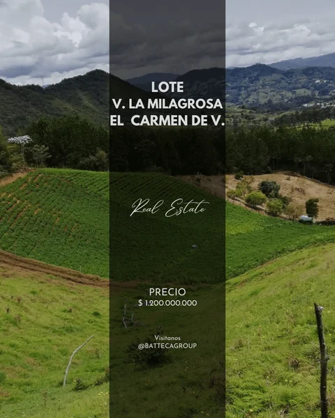 Se vende lote de 10.000 m2 en La Milagrosa