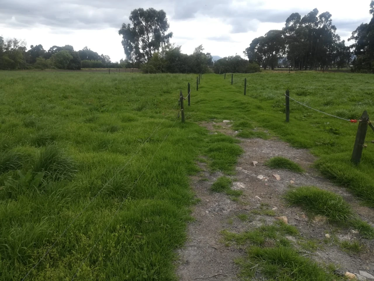 VENDO LOTE VIVIENDA PUENTE PIEDRA - AUTOPISTA CALLE 80