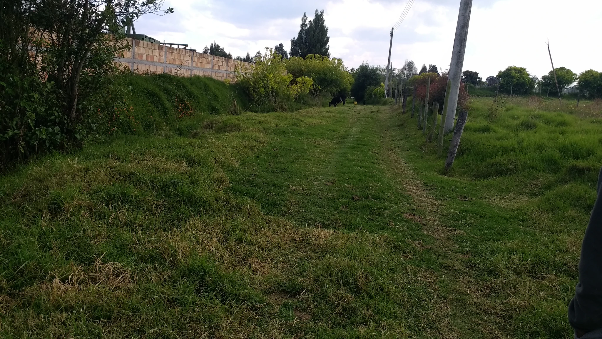 VENDO LOTE SOBRE - AUTOPISTA CALLE 80