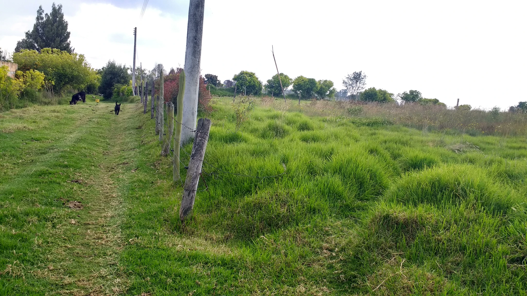 VENDO LOTE SOBRE - AUTOPISTA CALLE 80