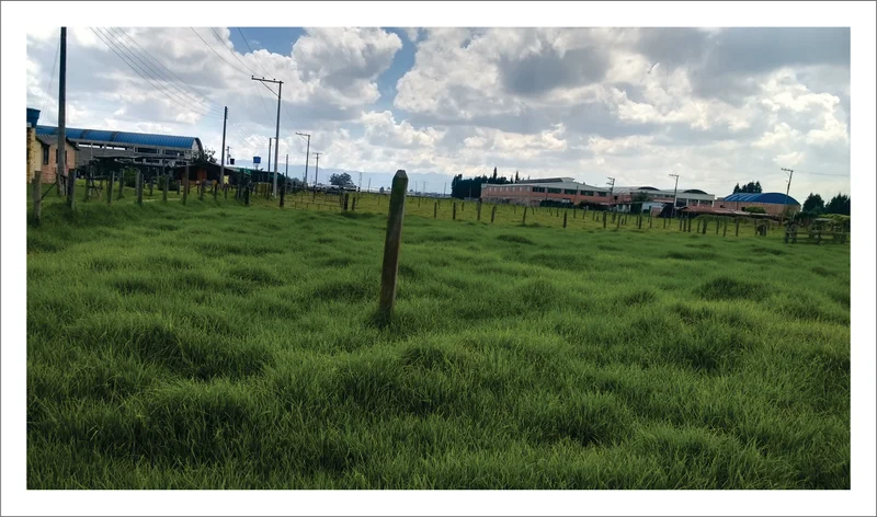 VENDO LOTE INDUSTRIAL NIVEL 3 - AUTOPISTA CALLE 80 