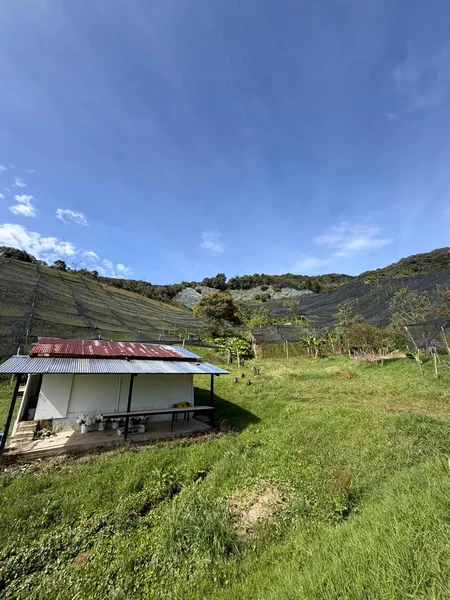 Lote El Carmen de Viboral/Vereda La Chapa