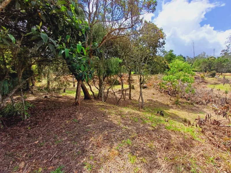 Lote en venta Vereda Piedras Blancas