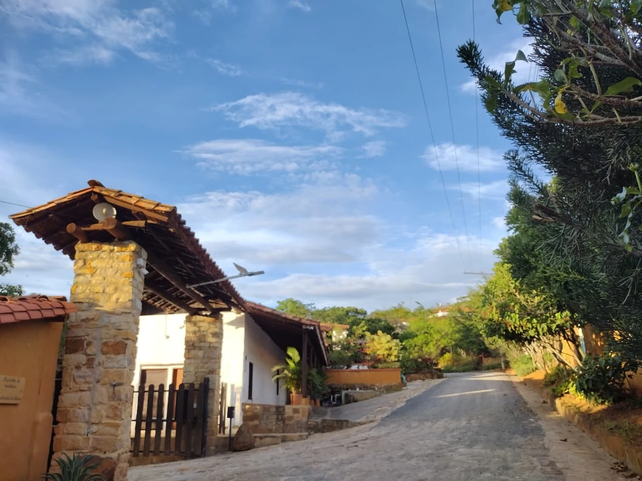 Lote 7