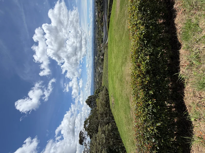Se vende lotes con excelente vista - El Carmen de Viboral