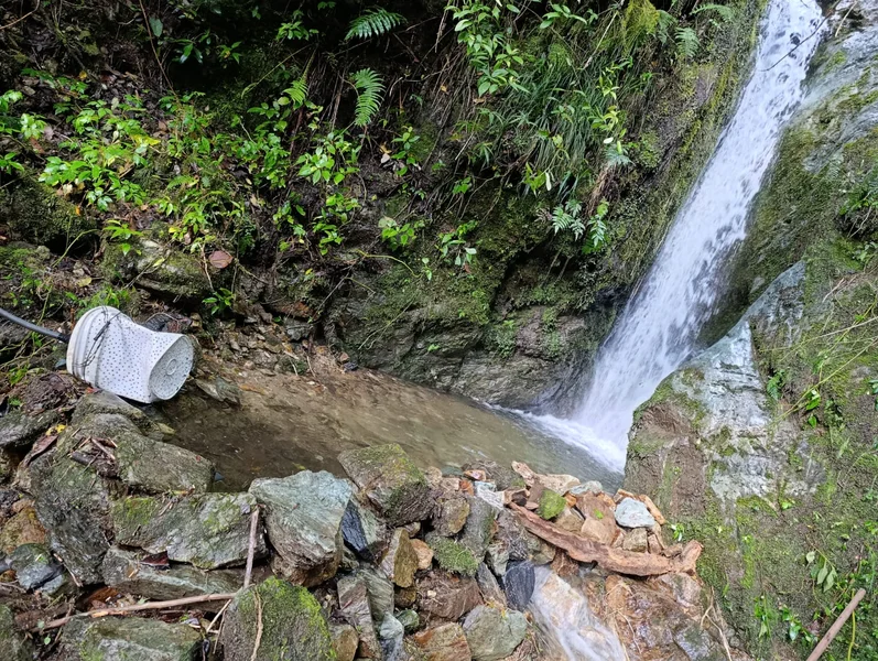 Finca ganadera en Calarcá | 300 cuadras | $18 millones por cuadra — foto 10 de 10