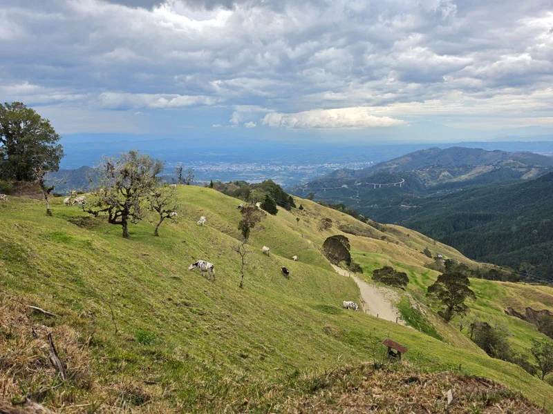 Finca ganadera en Calarcá | 300 cuadras | $18 millones por cuadra — foto 3 de 10